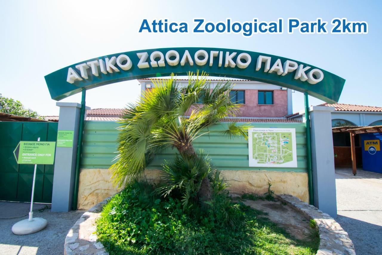 Stone Palace Hotel Near Athen'S Airport Free Shuttle From And To Athen'S Airport Spata  Exterior photo